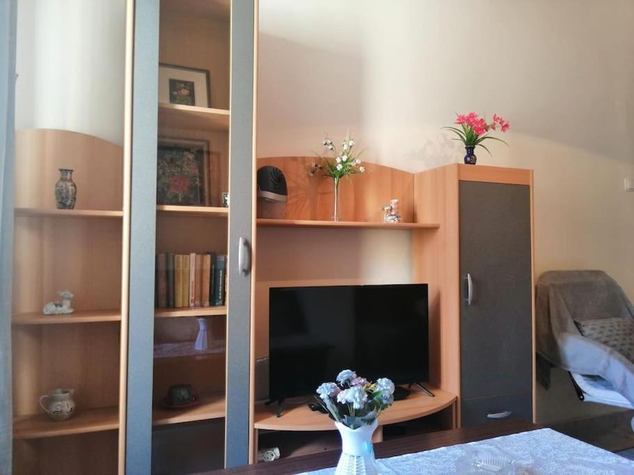 Apartment Micaela Pula Dış mekan fotoğraf